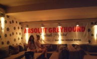 Absolut Greyhound UMAGINATION w. Axwell, Chuckie, Koyu