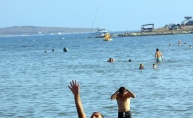 Barracuda beach bar & Pešekan cup