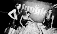 Club Jungle